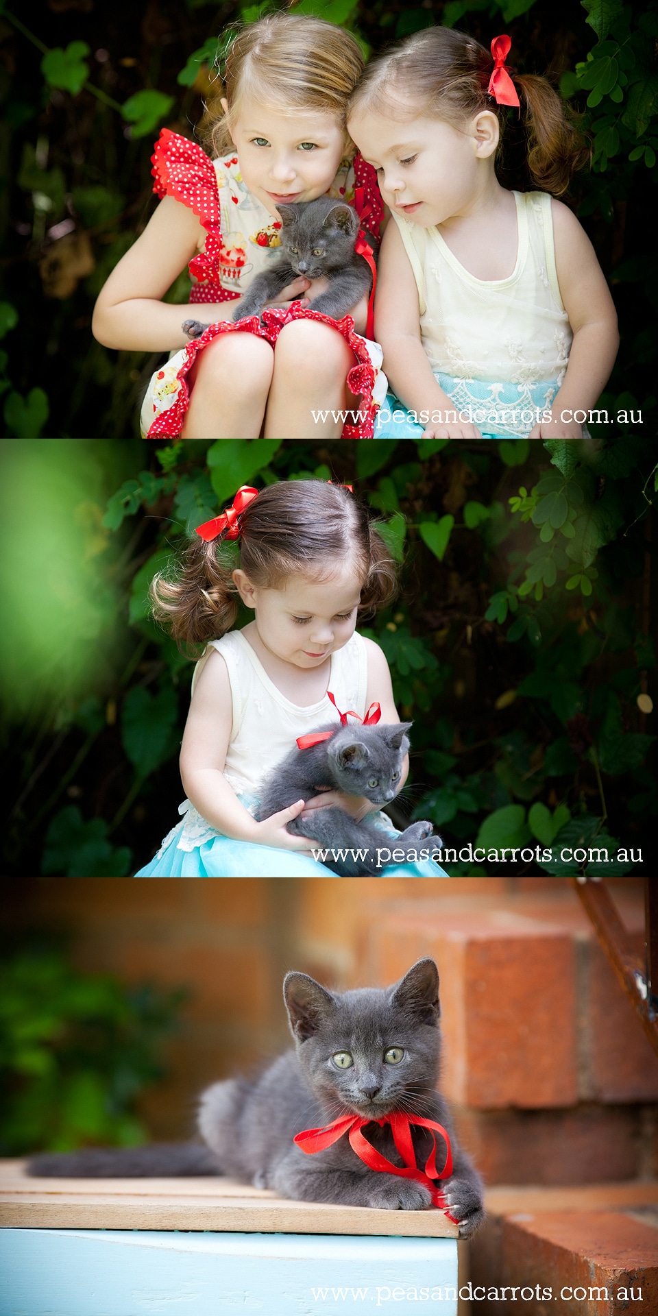 Brisbane Childrens Portrait Photography, Abby and Emily with their new baby kitten named Mr Pink in the backyard at their home in Wavell Heights.  Natural images of children and animals.  Brisbane Child Photographer Nikki Joyner, capturing whimsical and u
