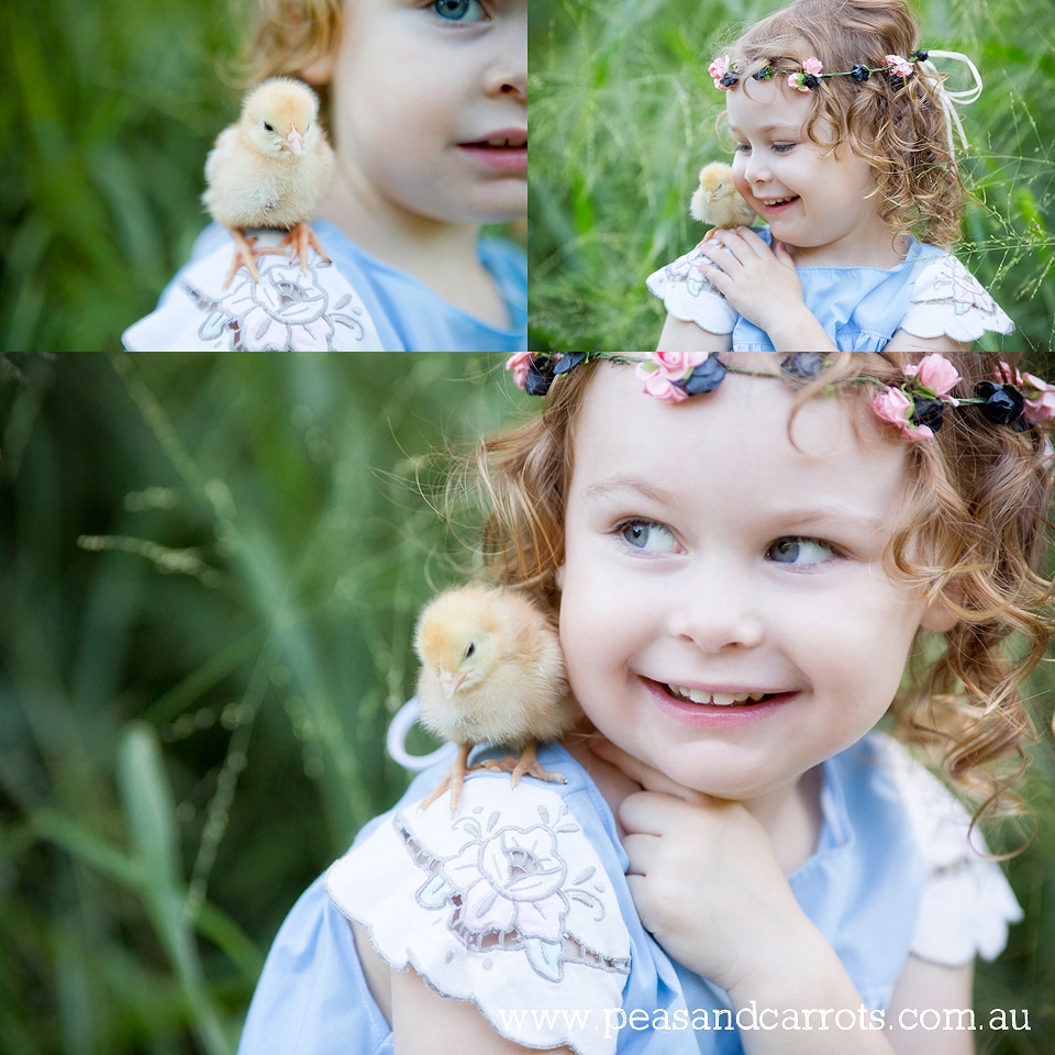 Brisbane Childrens Photography, Photographer Nikki Joyner for Peas & Carrots Photography captures whimsical and unique images of childhood moments, colourful and fun photographs.  Miss Eden with her baby chickens just one day old and freshly hatched from t